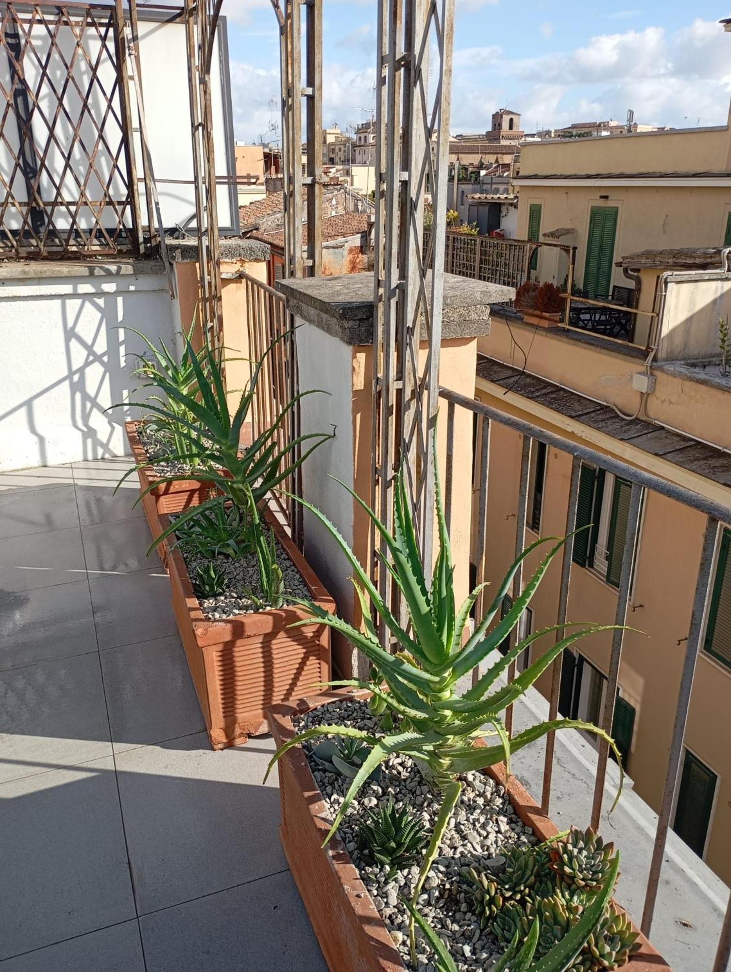 Colosseum Exclusive Duplex Rome Exterior photo